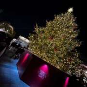 ヒメ日記 2025/12/12 12:02 投稿 みく 小岩人妻花壇