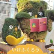 ヒメ日記 2025/12/17 18:25 投稿 みく 小岩人妻花壇