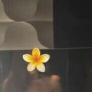 ヒメ日記 2026/01/11 00:00 投稿 みく 小岩人妻花壇