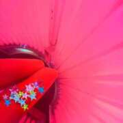 ヒメ日記 2026/02/04 21:36 投稿 みく 小岩人妻花壇