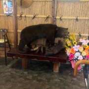 ヒメ日記 2026/02/07 13:55 投稿 みく 小岩人妻花壇