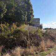 ヒメ日記 2026/03/04 16:00 投稿 みく 小岩人妻花壇