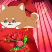 ヒメ日記 2026/03/06 15:34 投稿 みく 小岩人妻花壇