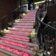 ヒメ日記 2026/03/19 18:14 投稿 みく 小岩人妻花壇