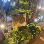 ヒメ日記 2026/03/22 10:51 投稿 みく 小岩人妻花壇