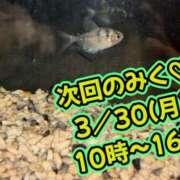 ヒメ日記 2026/03/27 12:31 投稿 みく 小岩人妻花壇