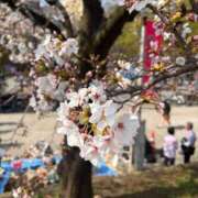 ヒメ日記 2026/03/29 15:46 投稿 みく 小岩人妻花壇