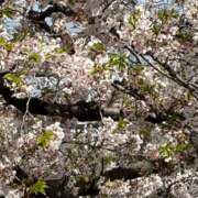 ヒメ日記 2026/04/03 11:11 投稿 みく 小岩人妻花壇