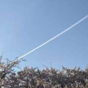 ヒメ日記 2026/04/03 16:21 投稿 みく 小岩人妻花壇