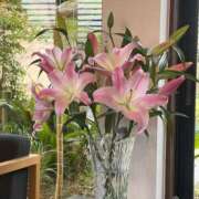 ヒメ日記 2026/04/04 10:59 投稿 みく 小岩人妻花壇