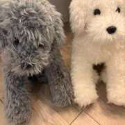 ヒメ日記 2026/04/05 16:21 投稿 みく 小岩人妻花壇