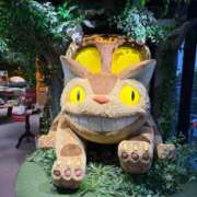 ヒメ日記 2026/04/09 09:45 投稿 みく 小岩人妻花壇