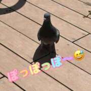 ヒメ日記 2026/04/12 10:33 投稿 みく 小岩人妻花壇