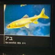 ヒメ日記 2026/04/15 08:17 投稿 みく 小岩人妻花壇