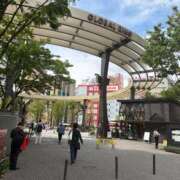 ヒメ日記 2026/04/15 13:43 投稿 みく 小岩人妻花壇