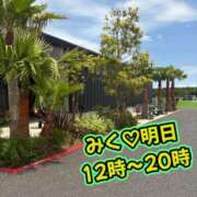 ヒメ日記 2026/06/11 19:06 投稿 みく 小岩人妻花壇
