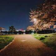 ヒメ日記 2025/04/05 22:38 投稿 まよ 胡蝶蘭