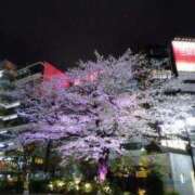 ヒメ日記 2025/04/13 20:48 投稿 まよ 胡蝶蘭