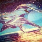 ヒメ日記 2025/07/02 14:31 投稿 まよ 胡蝶蘭