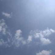 ヒメ日記 2025/07/20 11:32 投稿 まよ 胡蝶蘭