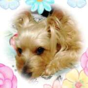 ヒメ日記 2025/07/20 21:32 投稿 まよ 胡蝶蘭