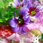ヒメ日記 2025/07/24 06:01 投稿 まよ 胡蝶蘭