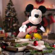 まよ 明日出勤します❣️ 胡蝶蘭