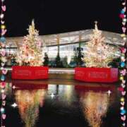 ヒメ日記 2025/12/16 08:47 投稿 まよ 胡蝶蘭