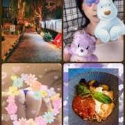 ヒメ日記 2026/02/03 23:42 投稿 まよ 胡蝶蘭