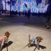 ヒメ日記 2025/01/25 13:06 投稿 ちさと奥様 人妻です