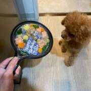 ヒメ日記 2025/03/07 16:30 投稿 ちさと奥様 人妻です