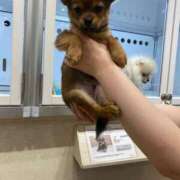 ヒメ日記 2025/04/27 09:57 投稿 ちさと奥様 人妻です