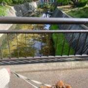 ヒメ日記 2025/05/04 11:50 投稿 ちさと奥様 人妻です