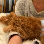 ヒメ日記 2025/05/11 16:02 投稿 ちさと奥様 人妻です