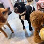 ヒメ日記 2025/08/04 17:12 投稿 ちさと奥様 人妻です