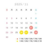 ねる☆ 11月のスケジュール🗓️ 粋美　suibi