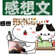 ヒメ日記 2025/02/11 20:00 投稿 えりこ 柏人妻花壇