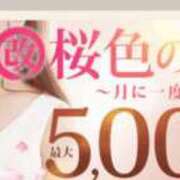 ヒメ日記 2025/04/01 18:01 投稿 えりこ 柏人妻花壇