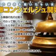 ヒメ日記 2025/04/03 00:00 投稿 えりこ 柏人妻花壇