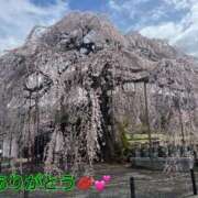 ヒメ日記 2025/04/03 08:38 投稿 えりこ 柏人妻花壇