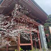 ヒメ日記 2025/04/05 08:59 投稿 えりこ 柏人妻花壇