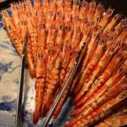 ヒメ日記 2025/04/14 08:42 投稿 えりこ 柏人妻花壇