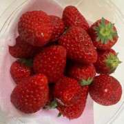 ヒメ日記 2025/05/03 19:26 投稿 えりこ 柏人妻花壇