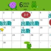 ヒメ日記 2025/06/02 14:24 投稿 えりこ 柏人妻花壇