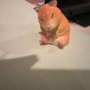 ヒメ日記 2025/06/09 20:46 投稿 えりこ 柏人妻花壇