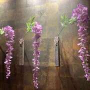 ヒメ日記 2025/06/14 12:41 投稿 えりこ 柏人妻花壇