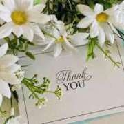 ヒメ日記 2025/07/08 04:23 投稿 えりこ 柏人妻花壇