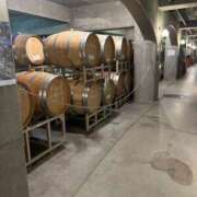 ヒメ日記 2025/07/31 08:09 投稿 えりこ 柏人妻花壇