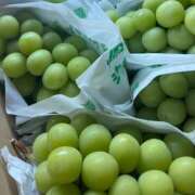 ヒメ日記 2025/08/31 11:22 投稿 えりこ 柏人妻花壇