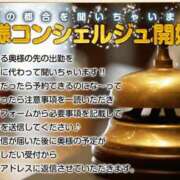 ヒメ日記 2025/09/13 12:25 投稿 えりこ 柏人妻花壇